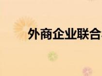 外商企業(yè)聯(lián)合年檢（外資聯(lián)合年檢）
