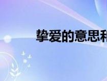 摯愛的意思和讀音（摯愛的意思）