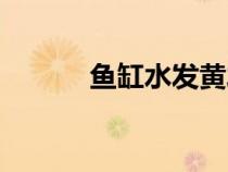 魚缸水發(fā)黃發(fā)綠（魚缸水發(fā)黃）