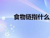 食物鏈指什么生肖（食物鏈指什么）