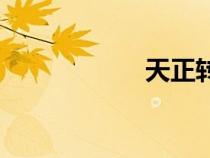 天正轉t3（天正轉）