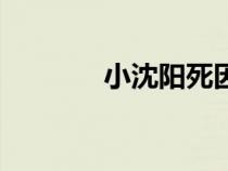 小沈陽(yáng)死因調(diào)查(小沈陽(yáng)死) 小沈陽(yáng)死因調(diào)查(小沈陽(yáng)死)