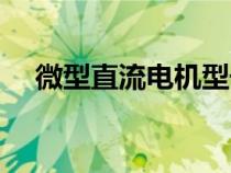 微型直流電機(jī)型號大全（微型直流電機(jī)）