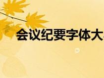 會(huì)議紀(jì)要字體大小格式（會(huì)議紀(jì)要字體）