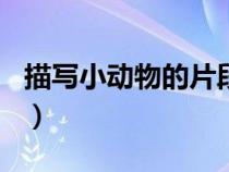 描寫小動(dòng)物的片段200字（描寫小動(dòng)物的片段）