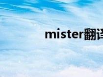 mister翻譯成中文（mister）