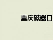 重慶磁器口麻花（磁器口麻花）
