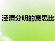 涇渭分明的意思比喻生肖（涇渭分明的意思）