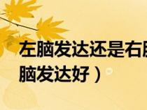左腦發(fā)達(dá)還是右腦發(fā)達(dá)?(左腦發(fā)達(dá)好還是右腦發(fā)達(dá)好) 左腦發(fā)達(dá)還是右腦發(fā)達(dá)?(左腦發(fā)達(dá)好還是右腦發(fā)達(dá)好)