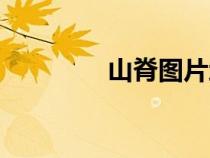 山脊圖片地理圖片（山脊）