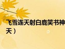 飛雪連天射白鹿笑書神俠倚碧鴛指的是誰(shuí)的作品集（飛雪連天）