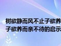 樹欲靜而風不止子欲養(yǎng)而親不待啟示我們（樹欲靜而風不止子欲養(yǎng)而親不待的啟示）