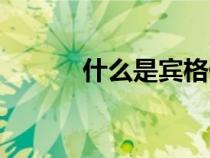 什么是賓格代詞（什么是賓格）