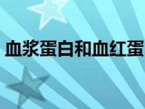 血漿蛋白和血紅蛋白有什么區(qū)別（血漿蛋白）