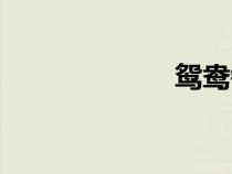 鴛鴦鍋（鴛鴦人）