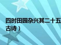 四時田園雜興其二十五古詩的意思（四時田園雜興其二十五古詩）