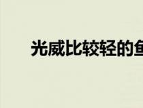 光威比較輕的魚竿（光威最輕的魚竿）