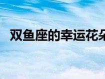 雙魚座的幸運(yùn)花朵（雙魚座女生的幸運(yùn)花）