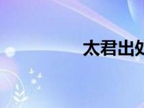 太君出處（太君的意思）