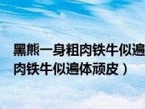 黑熊一身粗肉鐵牛似遍體頑皮夾膠一字赤黃眉（黑熊一身粗肉鐵牛似遍體頑皮）