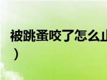被跳蚤咬了怎么止癢快（被跳蚤咬了怎么止癢）
