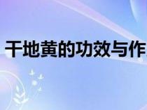 干地黃的功效與作用的功能與主治（干地黃）