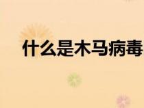 什么是木馬病毒圖片（什么是木馬病毒）