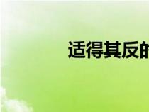 適得其反的效果（適得其反）