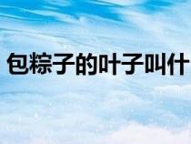 包粽子的葉子叫什么名字?。ò兆拥娜~子）