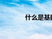 什么是基數(shù)?(什么是基數(shù)) 什么是基數(shù)?(什么是基數(shù))