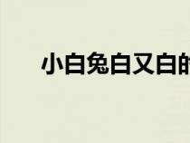 小白兔白又白的歌譜（小白兔白又白）