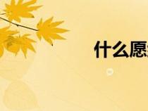 什么愿組詞（愿組詞）