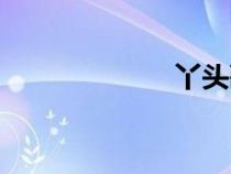 丫頭歌詞（丫頭）