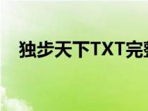 獨步天下TXT完整版下載（獨步天下txt）