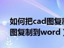 如何把cad圖復(fù)制到word文檔（如何把cad圖復(fù)制到word）