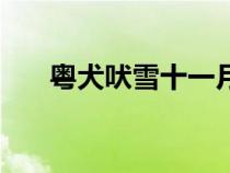 粵犬吠雪十一月指一生肖（粵犬吠雪）