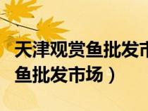 天津觀賞魚(yú)批發(fā)市場(chǎng)進(jìn)貨渠道在哪(天津觀賞魚(yú)批發(fā)市場(chǎng)) 天津觀賞魚(yú)批發(fā)市場(chǎng)進(jìn)貨渠道在哪(天津觀賞魚(yú)批發(fā)市場(chǎng))