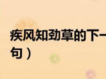 疾風(fēng)知勁草的下一句是啥（疾風(fēng)知勁草的下一句）