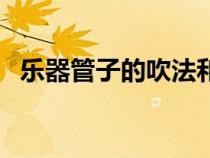 樂(lè)器管子的吹法和指法（管子樂(lè)器怎么吹）