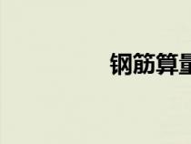 鋼筋算量表（鋼筋算量）