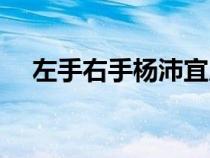 左手右手楊沛宜原唱（左手右手楊沛宜）