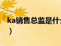 ka銷售總監(jiān)是什么意思（什么是KA銷售代表）