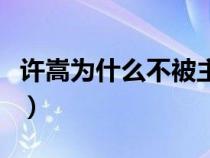 許嵩為什么不被主流接受（許嵩為什么被封殺）