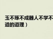 玉不琢不成器人不學(xué)不知道對(duì)嗎（玉不琢不成器人不學(xué)不知道的道理）
