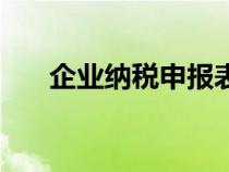 企業(yè)納稅申報表模板（企業(yè)納稅申報）