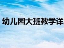 幼兒園大班教學(xué)詳案（幼兒園大班教案詳案）