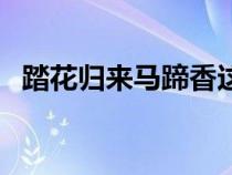 踏花歸來(lái)馬蹄香這首詩(shī)（踏花歸來(lái)馬蹄香）