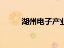 湖州電子產(chǎn)業(yè)（湖州電子商務(wù)網(wǎng)）