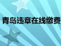 青島違章在線繳費(fèi)（青島違章罰款網(wǎng)上繳費(fèi)）