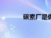 碳素廠是做什么的（碳素廠）